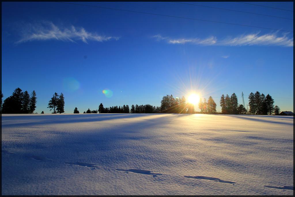 Oduo Villa Sart-lez-Spa ภายนอก รูปภาพ
